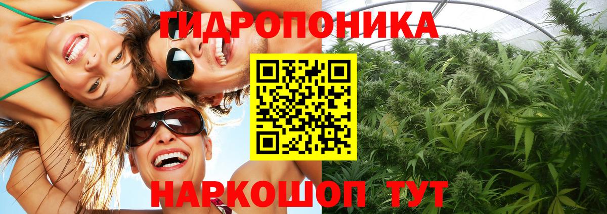 Бошки Шишки тримм  Вход с VPN  Бошки Шишки SATIVA & INDICA  Кстово  Конопля семена 